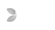 Evolution Gaming